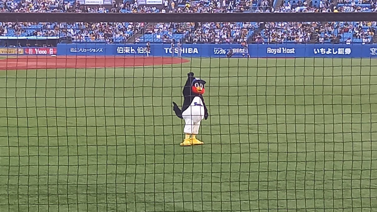 shohji23's tweet photo. @monyonyo705 ヒイラギさんとつば九郎先生、近くで見れて小澤君のピッチングで満足しました😉 https://t.co/rHq9lSdgV5