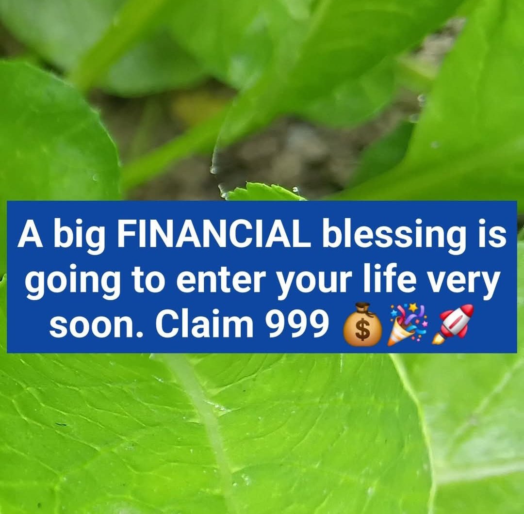 Spiritual Energy tweet media