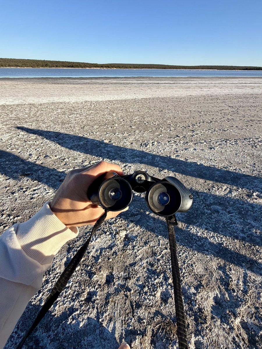 La entrada a la Reserva Natural Pedro Luro cuesta $3000 y hay 5 senderos autoguiados

Clave los binoculares para ver los flamencos rosados 🦩

También se puede hacer con guía para conocer mejor la fauna y los ecosistemas del parque

📍La Pampa