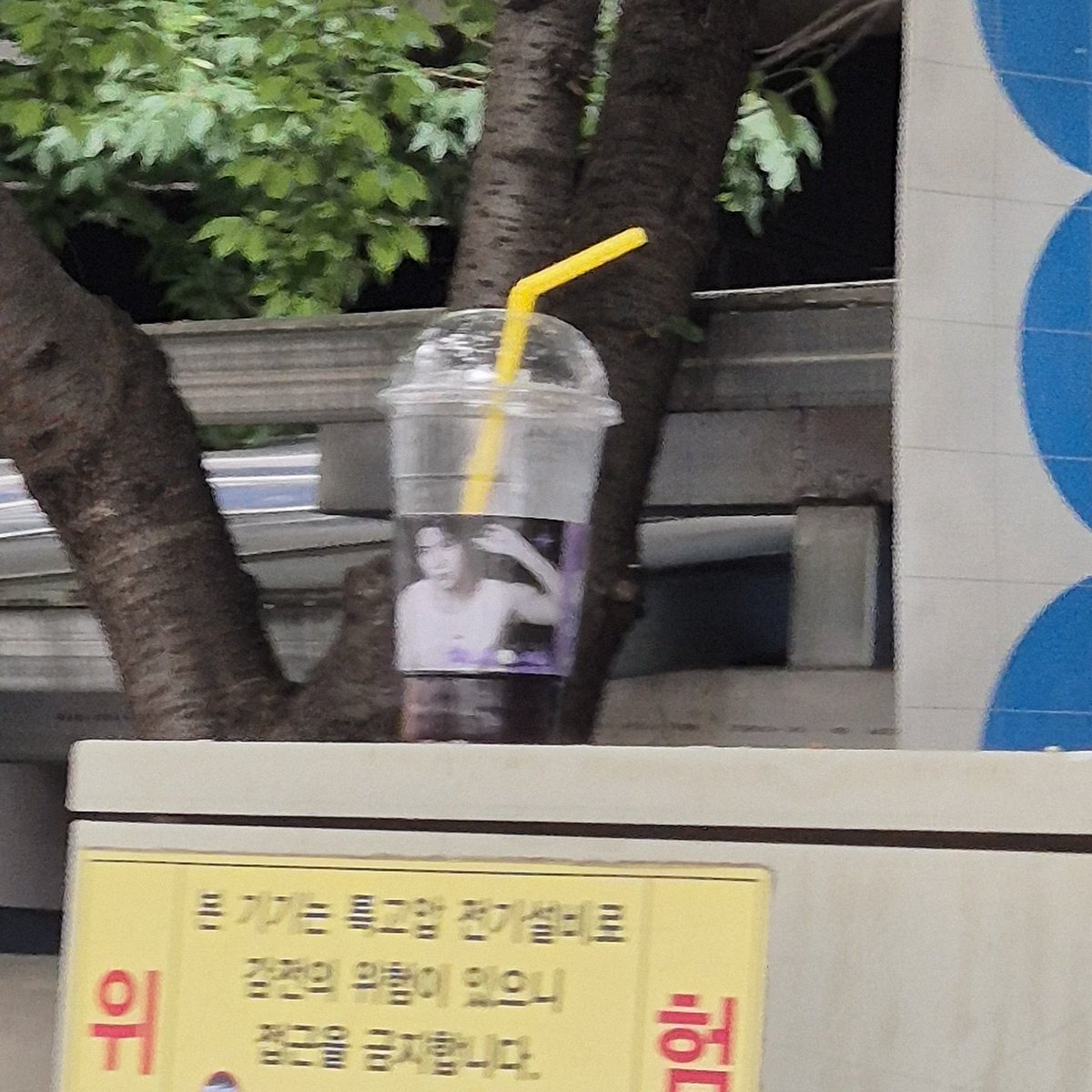 료베베 tweet media