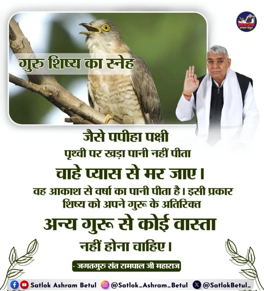 Rohit mahto tweet media