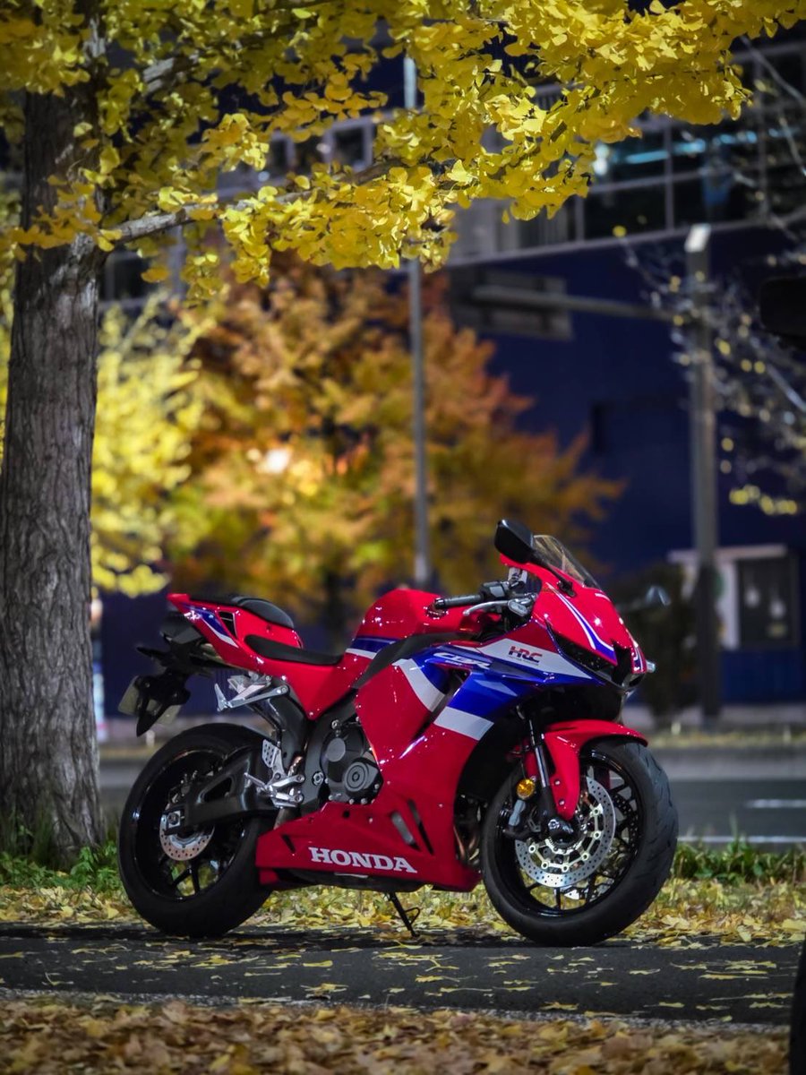 Msmncmx250's tweet photo. 名前￤まさむね
年齢￤20
住み￤宮城
身長￤157
車種￤Rebel250🖤▶︎CBR600RR❤️‍🔥
一言￤人見知ります！ https://t.co/D3yX64wez4
