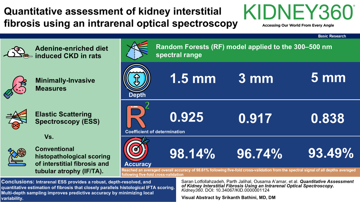 asnpublications's tweet photo. How effective is intrarenal Elastic Scattering Spectroscopy (ESS) compared with traditional biopsy in accurately and consistently assessing kidney fibrosis at different depths to evaluate donor kidney suitability before transplantation? #BasicResearch in #ASNKidney360 https://t.co/oZ32LDRVP8