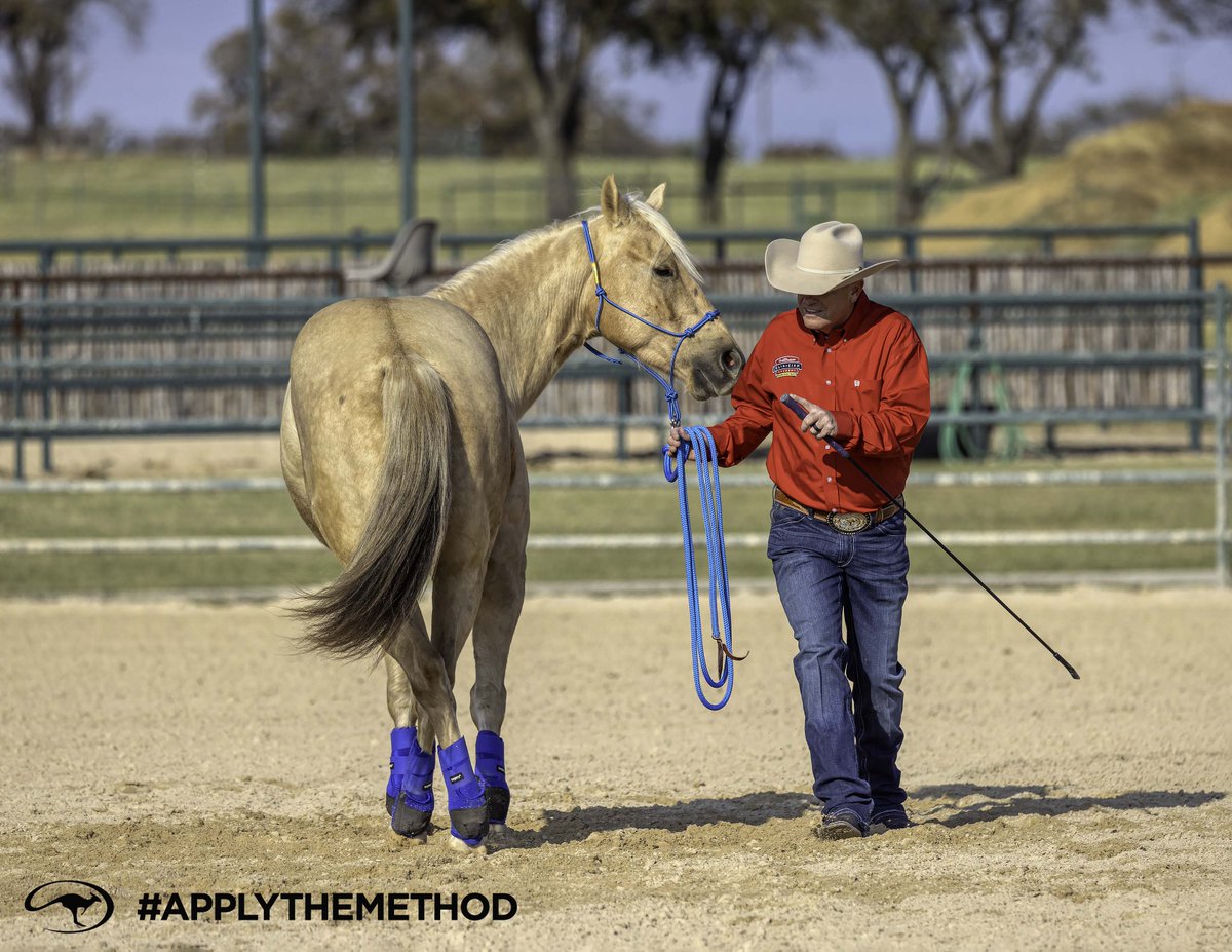 DownunderHorse's tweet photo. A better horse starts with a better horseman. Method Ambassador Ron Renard is passionate about helping people develop the skills to bring out the best in their horses.
https://t.co/rlRw8l0KsM
#ApplyTheMethod https://t.co/EkfPPJiCUD