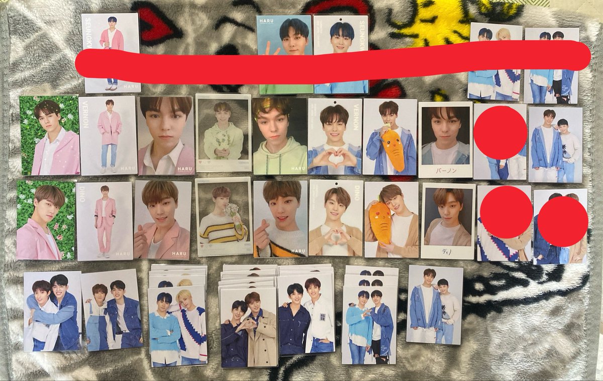 SEVENTEEN セブチ 過去トレカ HARU 譲:個人8枚SET