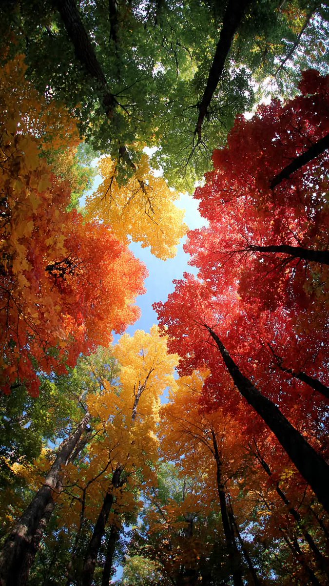 man_dares's tweet photo. Worth capturing! https://t.co/rgUYlqx584