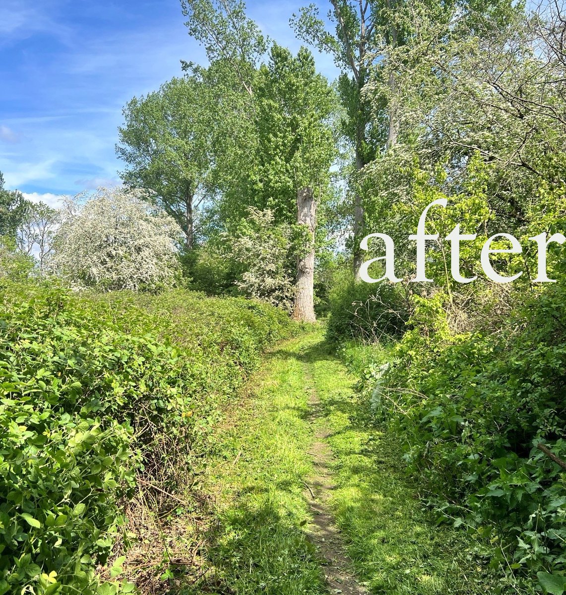 Thames Path National Trail tweet media