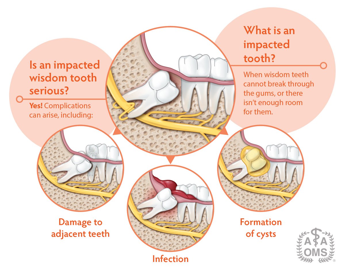 AAOMS - Oral and Maxillofacial Surgeons tweet media
