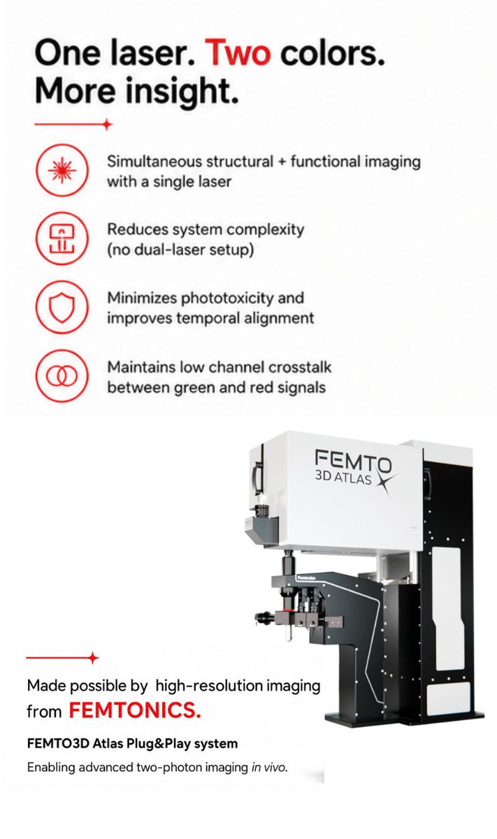 Femtonics's tweet photo. New preprint: simplifying 2P imaging.

LSSmScarlet3 enables dual-color structural + functional imaging with a single 920 nm laser.

✔ Low crosstalk
✔ No dual-laser setup
✔ Simultaneous in vivo imaging

Figure 1F shows clean dual-channel acquisition on a FEMTO3D Atlas Plug&Play system.
#2Photon #Neuroscience #Microscopy #Femtonics