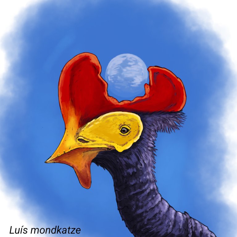 Luís mondkatze tweet media