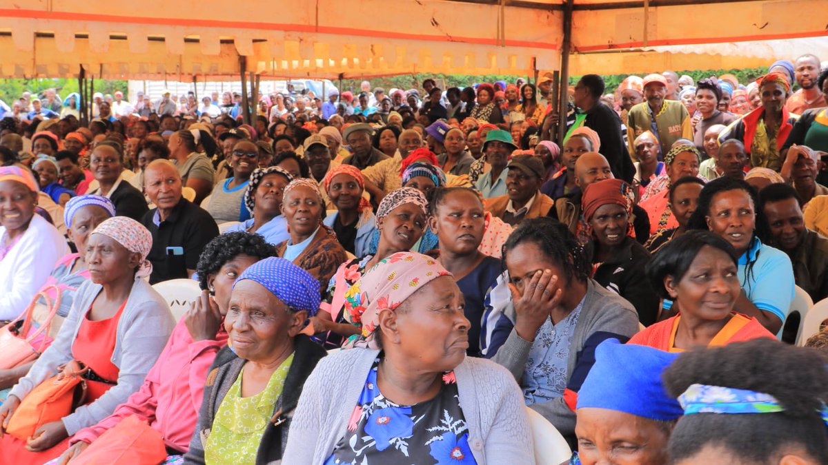 HonKangata's tweet photo. Today in Gatanga:  farmers trained on Hass avocado farming – the crop turning 1/4 acre into KSh 300K per year.  

✅ Certified Hass seedlings issued  
✅ GAP training: planting, pruning, pest control  
✅ MyMuranga App 
✅ Link to exporters through Kakuzi partnership https://t.co/Fm2vLHUT82