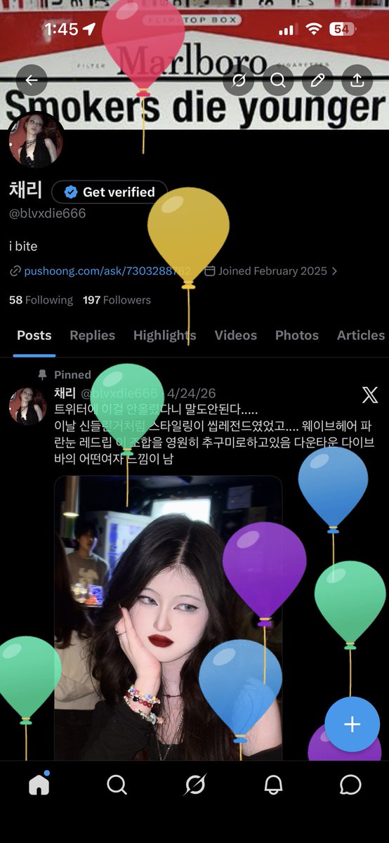 채리 tweet media