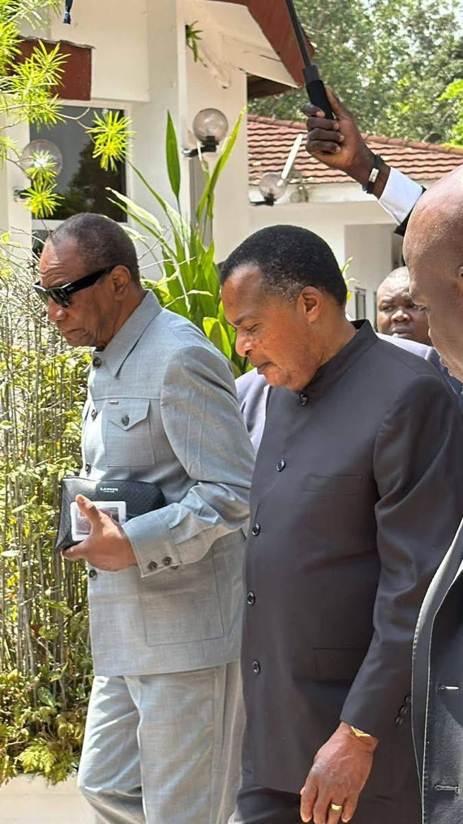 Guineematin tweet media