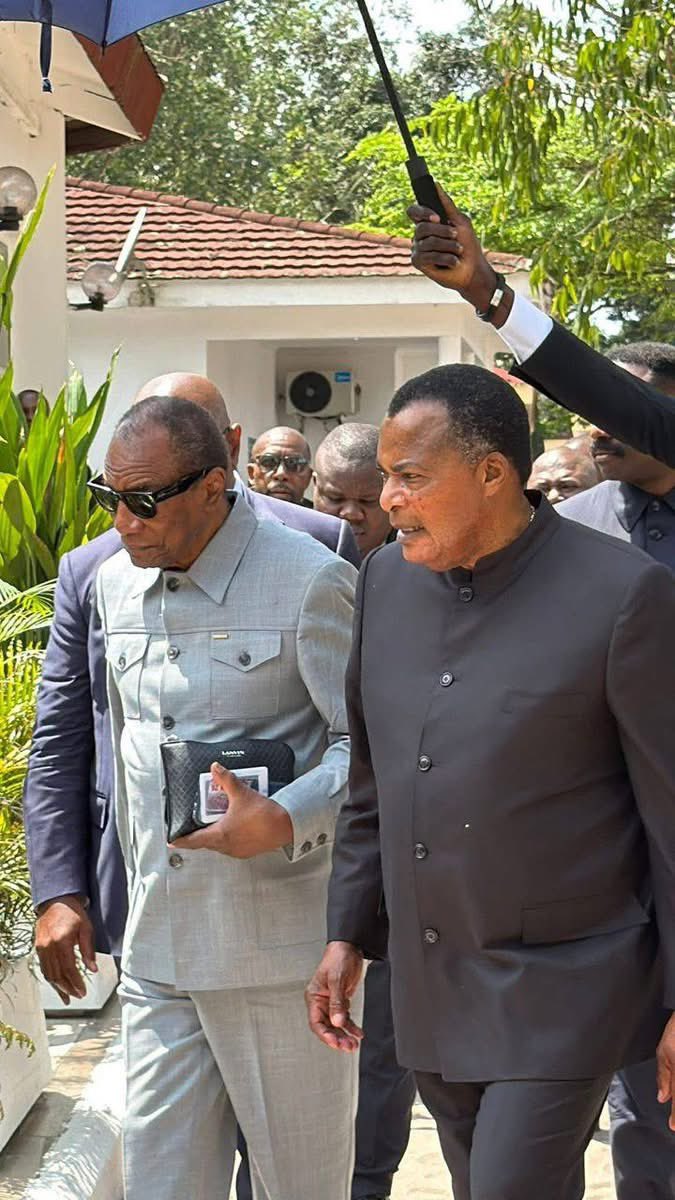 Guineematin tweet media