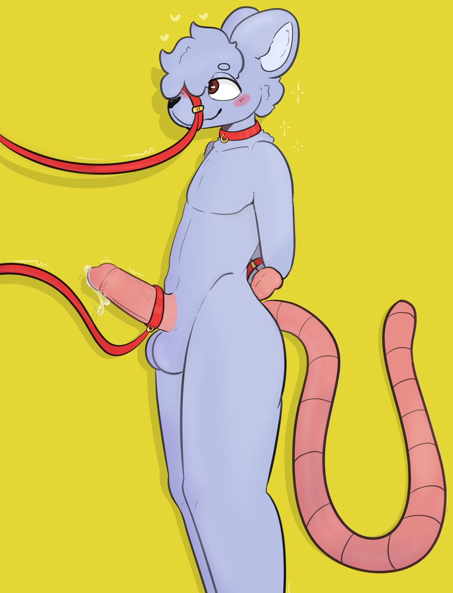 DakoTheArtist's tweet photo. Rat #furrynsfw #furryporn #furryart https://t.co/v4fSxKYP1u