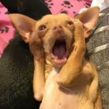 🪡xiiqweq ⛱ tweet media