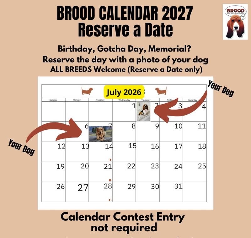 BROODva's tweet photo. ATTENTION!  The voting is now open in the calendar contest! 
Photos can still be submitted thru 5/15.  We need about 15 more photos to make the contest successful! People can also Reserve a Date for their dog (all breeds welcome) for only $25 a date.

https://t.co/RIiaPZmQMv https://t.co/jnX3PMTlzI