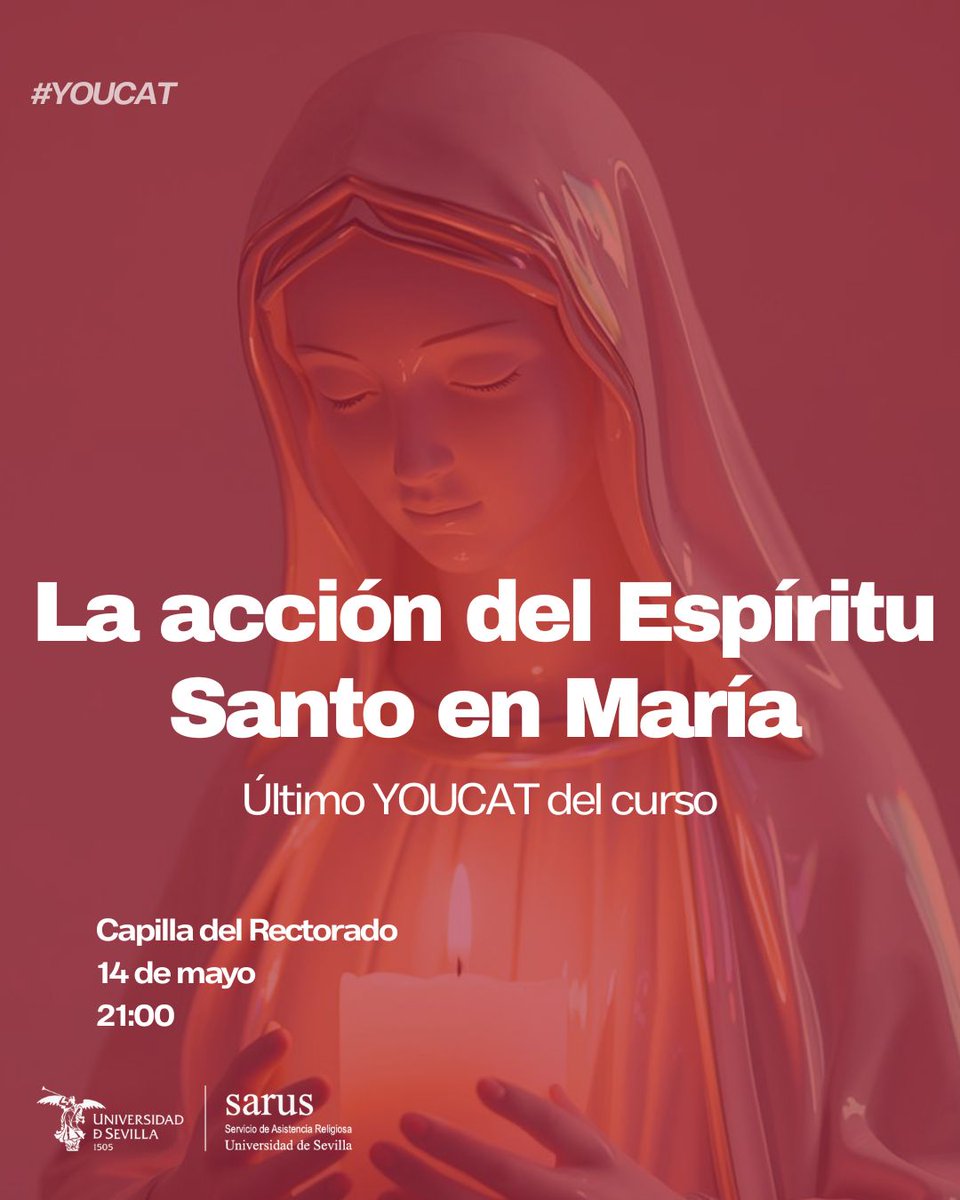 SARUS Sevilla tweet media