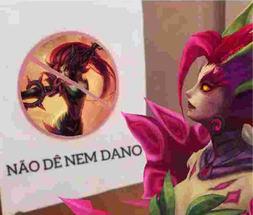 Acervo Zyra tweet media