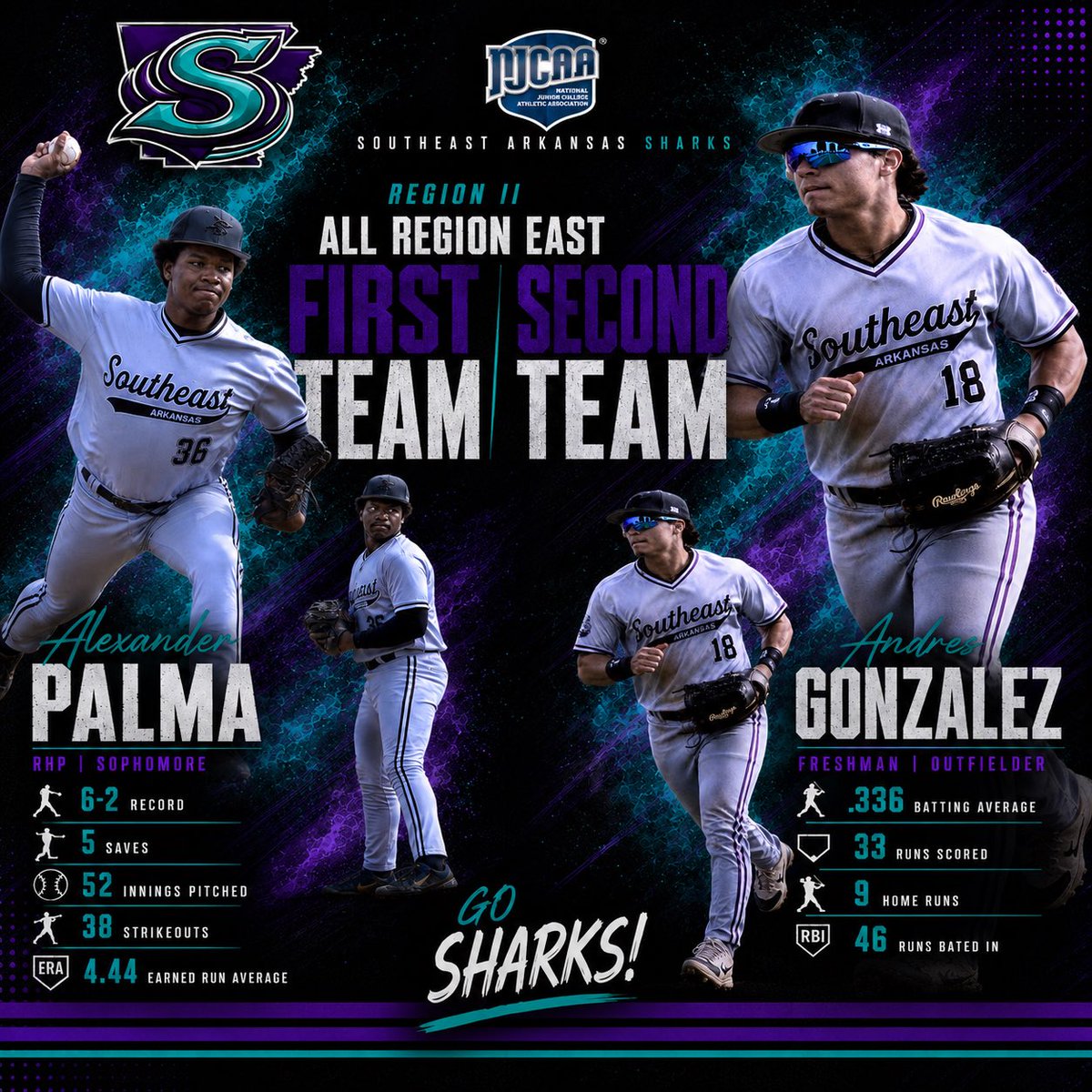 SEARK Baseball tweet media