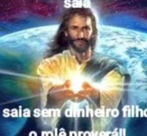 cachorra da Lara Boldorini tweet media