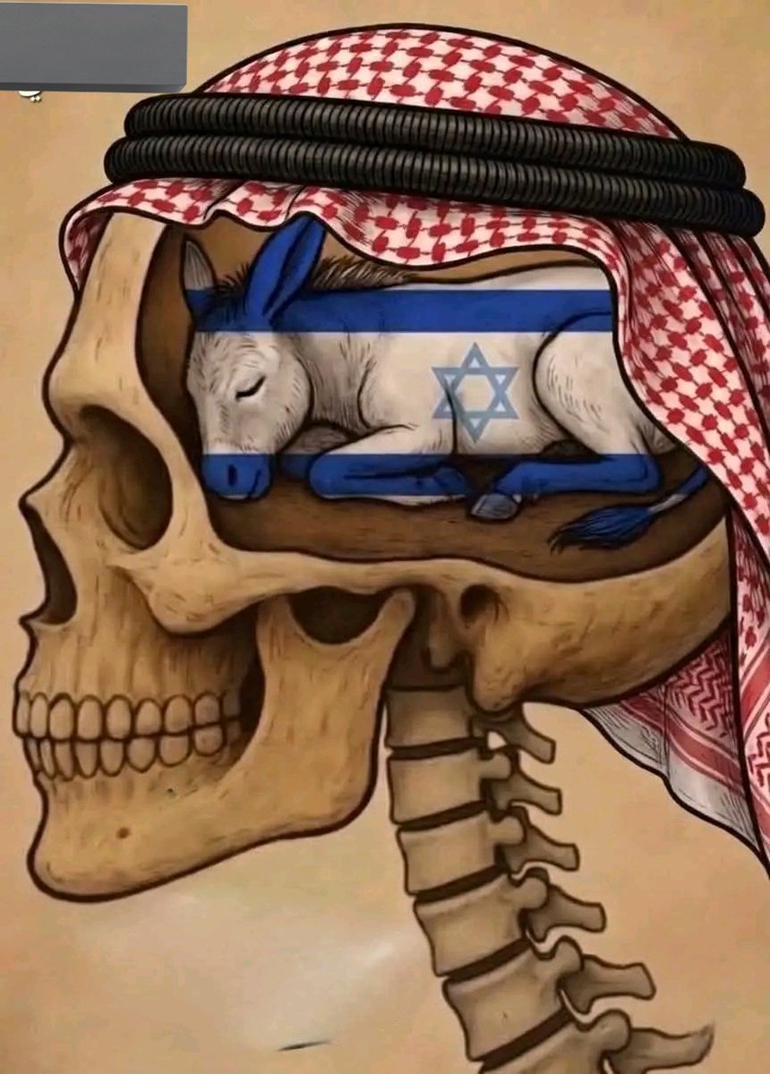 الدكتورة سلمی tweet media