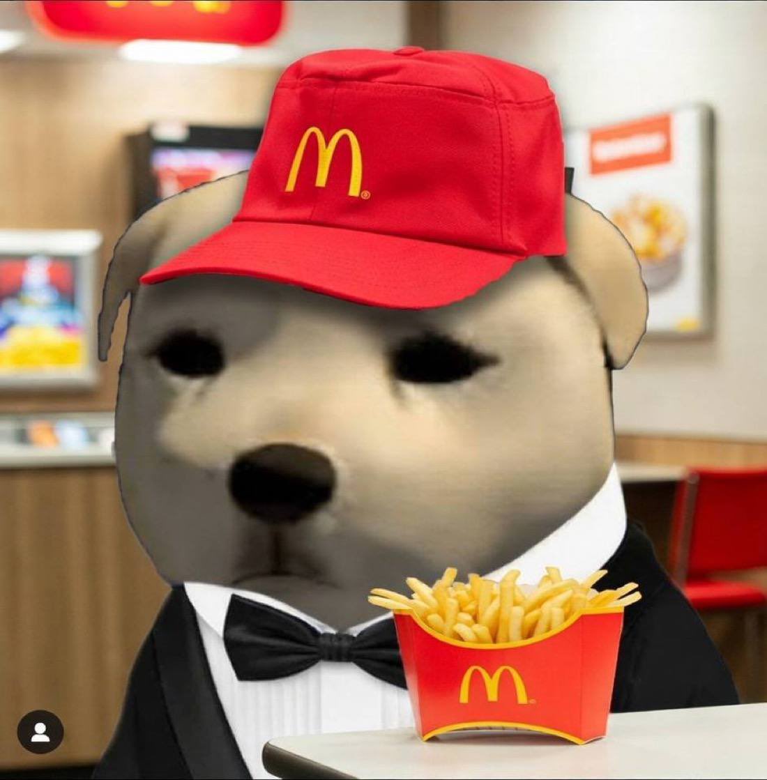 zooko tweet media
