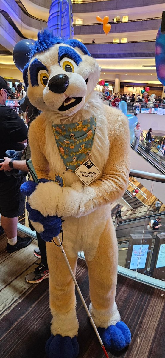 Benji The Beagle 🔜 FWA 2026 tweet media