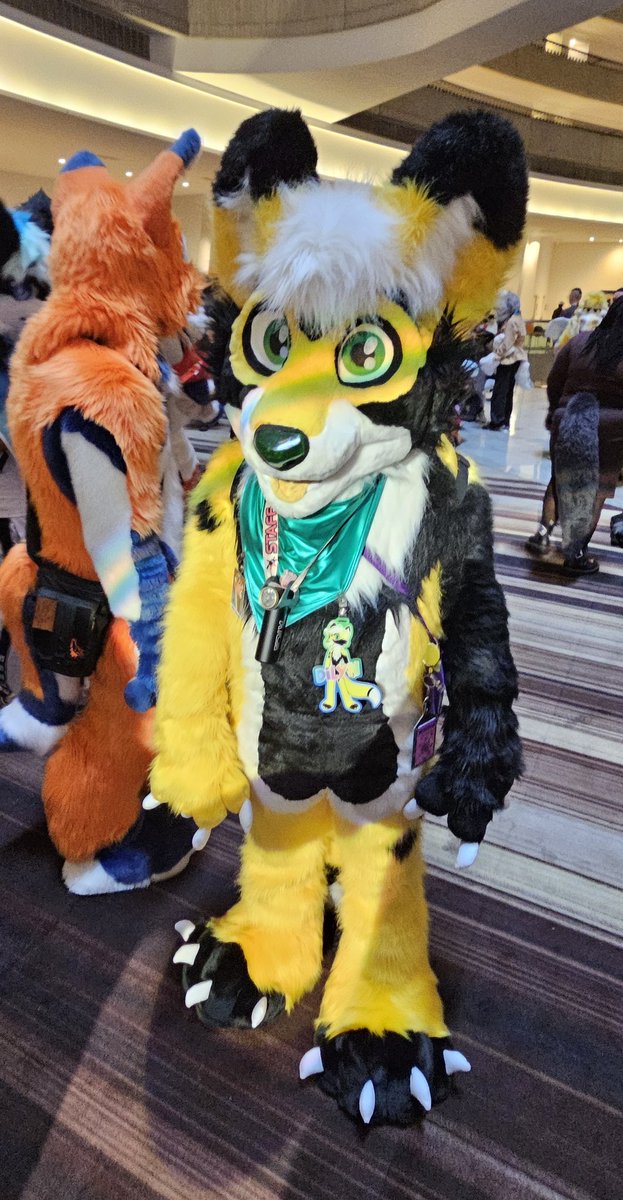 Benji The Beagle 🔜 FWA 2026 tweet media
