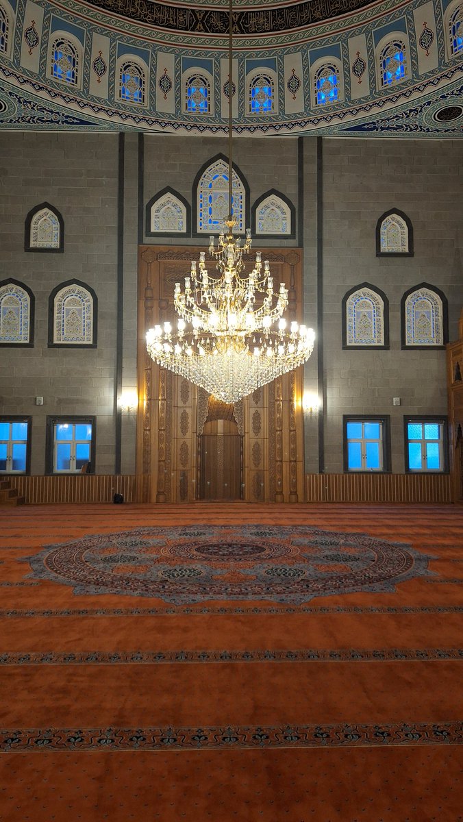 Sait (سعيد) ORHAN tweet media