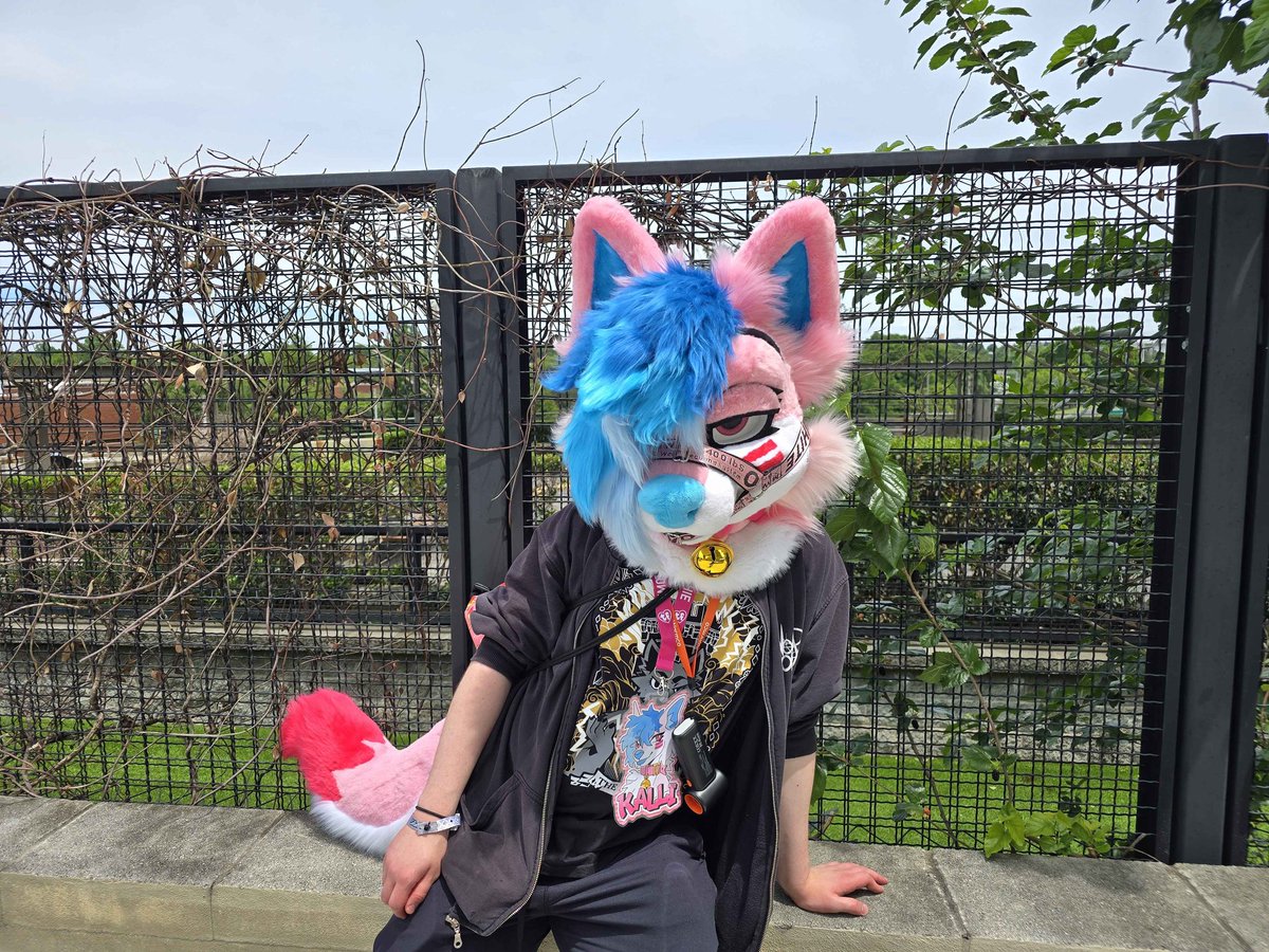 Kallifluff's tweet photo. @cassie_site_02 yeah bro I'm everywhere https://t.co/RmZ0dE3jnc