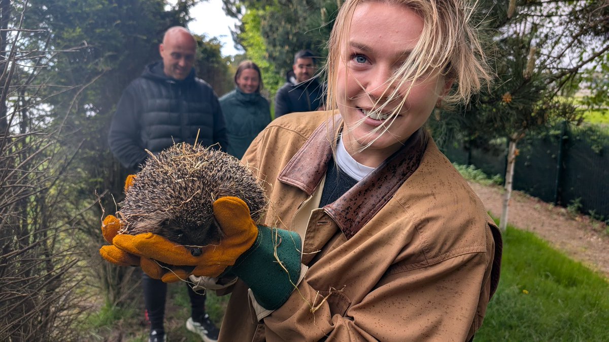 Andrew Ellis ❤️🦔 tweet media