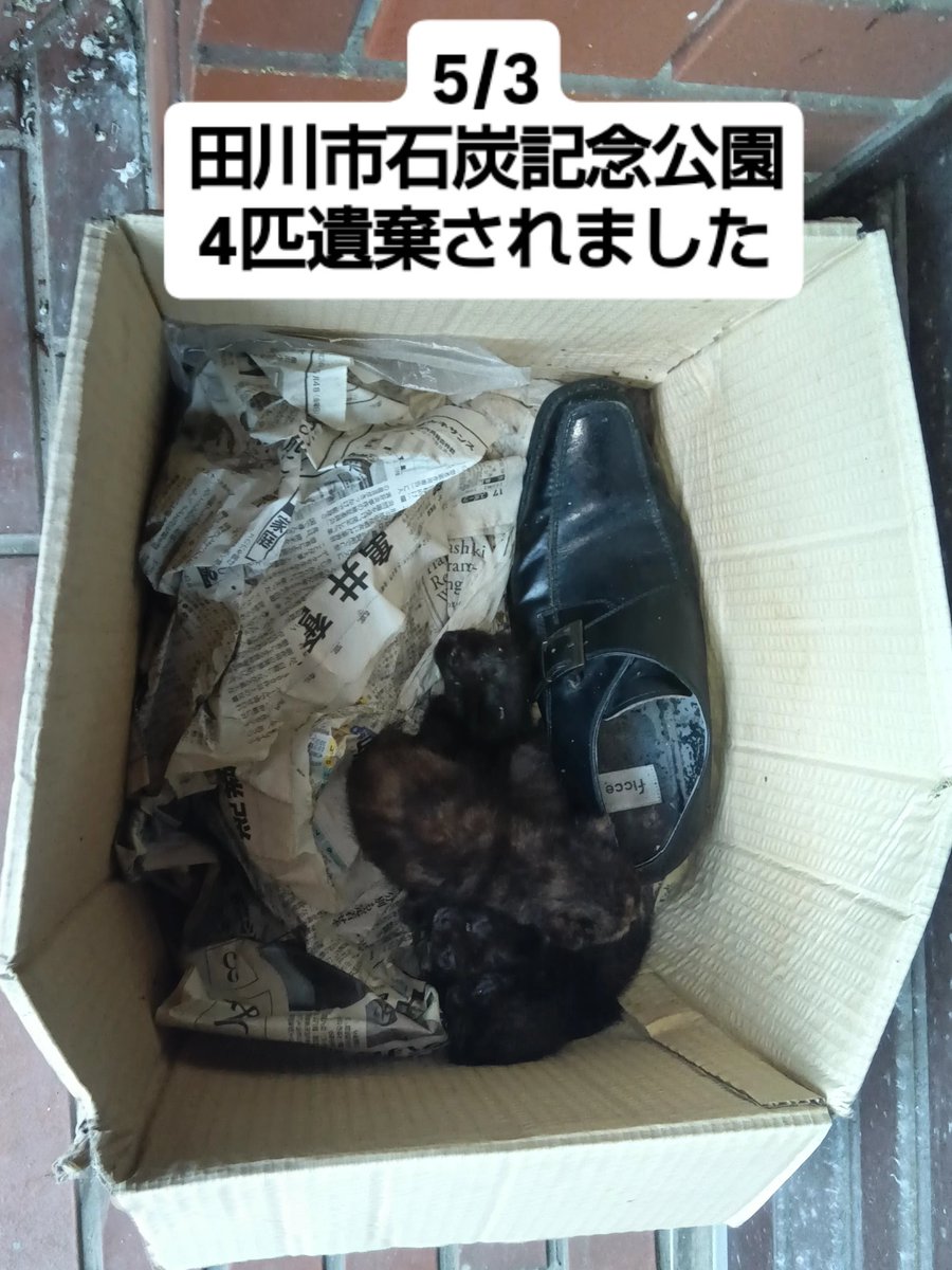 NECCO WORK(ネッコワーク) tweet media