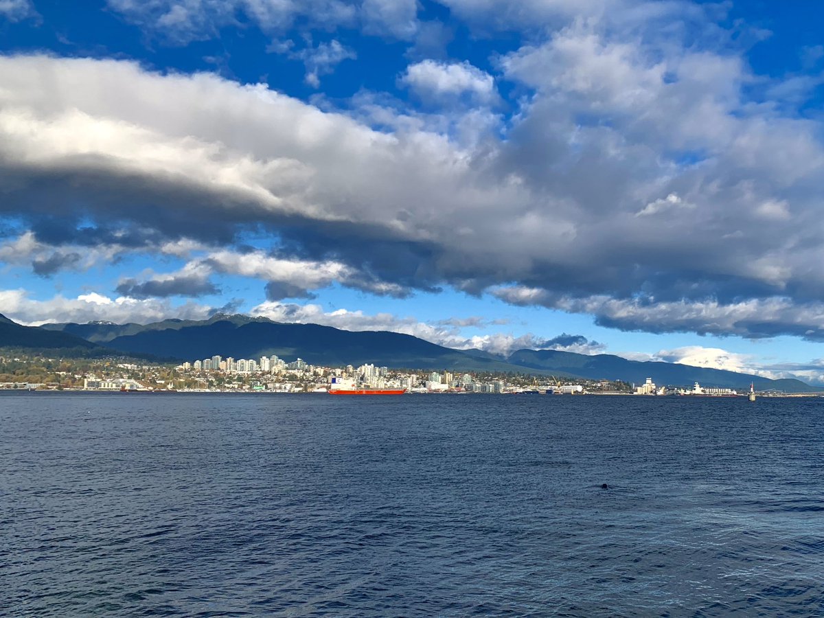 Lightning_Ch's tweet photo. Golden leaves. Cold air. Quiet streets. 🍁

Autumn in Vancouver feels like walking through a painting—

#Vancouver #VancouverFall #AutumnVibes #FallColors #ExploreCanada #MoodyGrams #AutumnAesthetic #RainyCity #CityWalks #NatureAndCity #Wanderlust #BeautifulDestinations https://t.co/eqARS4WNqh
