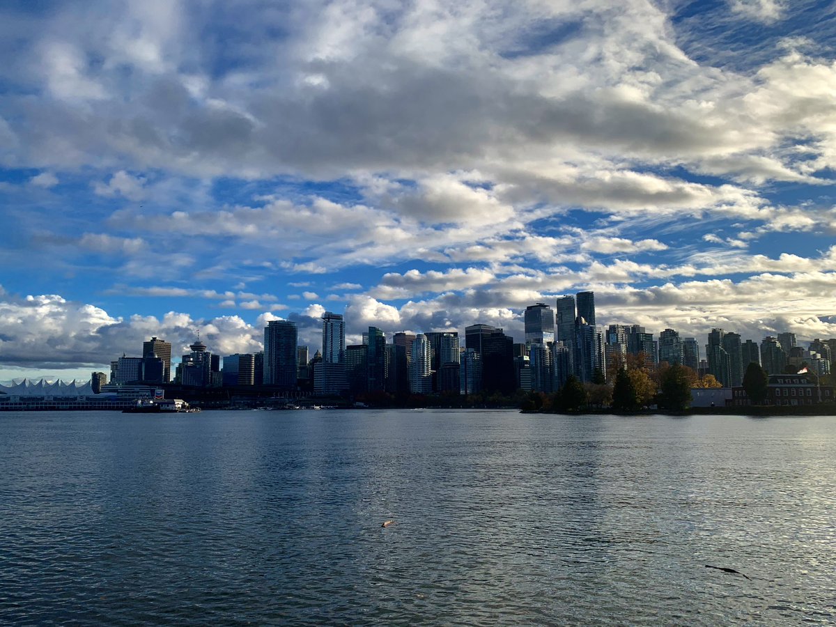 Lightning_Ch's tweet photo. Golden leaves. Cold air. Quiet streets. 🍁

Autumn in Vancouver feels like walking through a painting—

#Vancouver #VancouverFall #AutumnVibes #FallColors #ExploreCanada #MoodyGrams #AutumnAesthetic #RainyCity #CityWalks #NatureAndCity #Wanderlust #BeautifulDestinations https://t.co/eqARS4WNqh