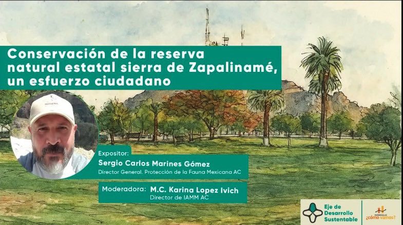 hmocomovamos's tweet photo. Mejores prácticas para comunidades sustentables 🌵🌳

Compartimos el conversatorio “Conservación de la reserva natural estatal Sierra de Zapalinamé, un esfuerzo ciudadano”, con Sergio Carlos Marines. Un ejemplo de buenas prácticas.

📺 Disponible:
https://t.co/4aoyLME9Pv
#RedHCV https://t.co/AYLFetQlpA