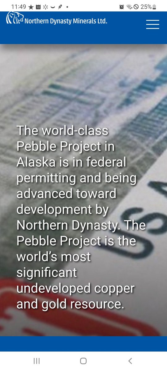InThis2getherWW's tweet photo. @sdbullion Yet, Northern Dynasty Minerals, $NAK #PebbleProject, The World’s Most Significant Undeveloped Copper &amp; Gold Resource - right here in America - and it's infamous [[obama/biden]] illegal veto still hasn't been reversed...😔 https://t.co/3Uoop32GRW