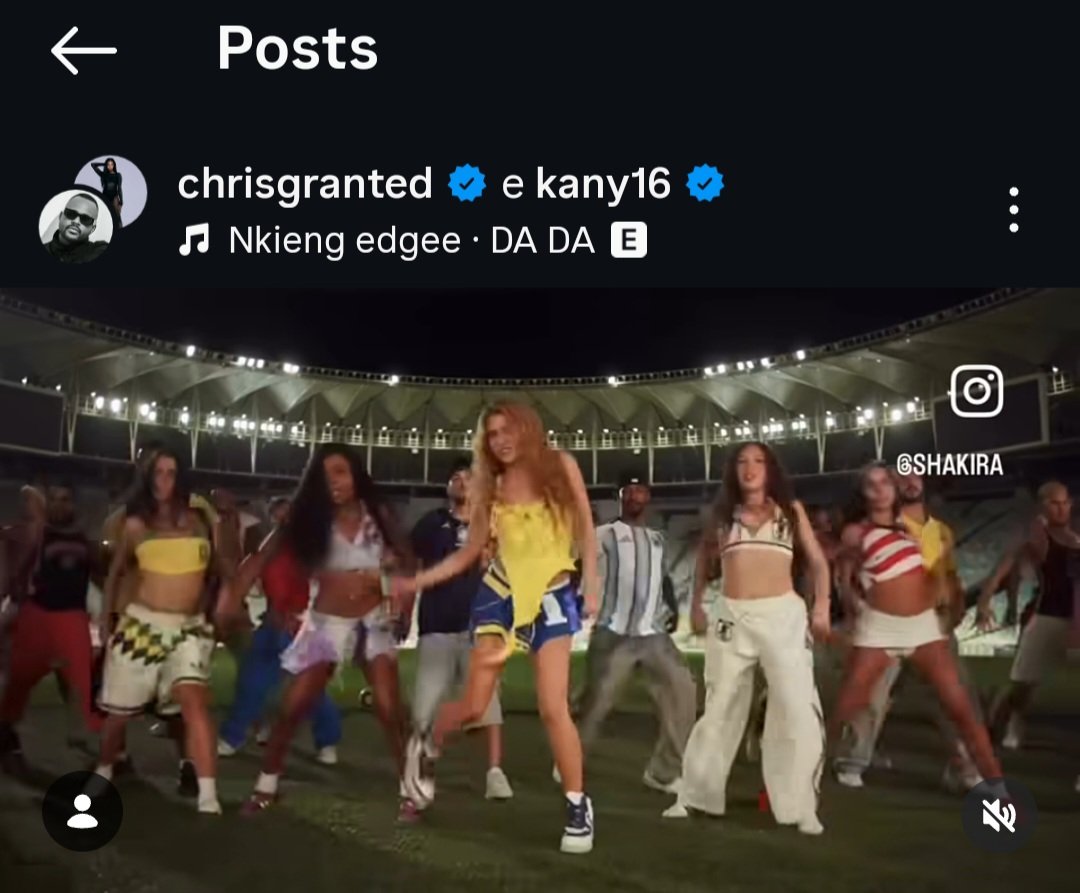 LISA BRASIL tweet media