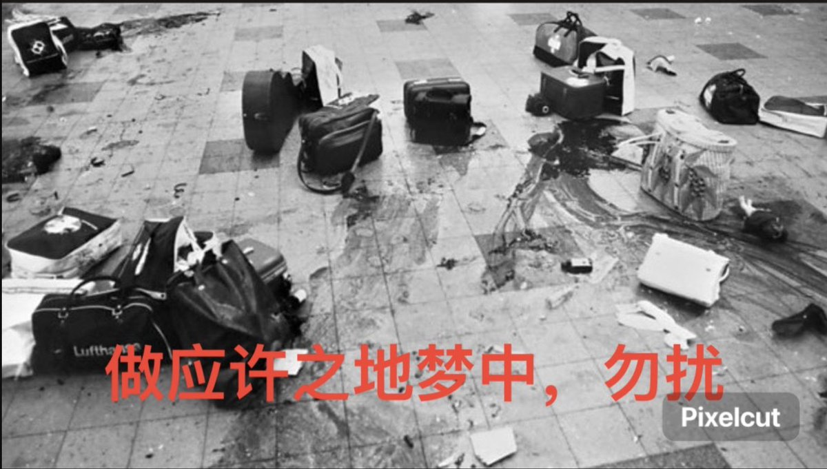 【爱卡爱锡安爱支黑专业户】黑化的🐇酱🇨🇳🇺🇦🇵🇸🏳️‍🌈🏳️‍⚧️🚩📕🔻✙ tweet media