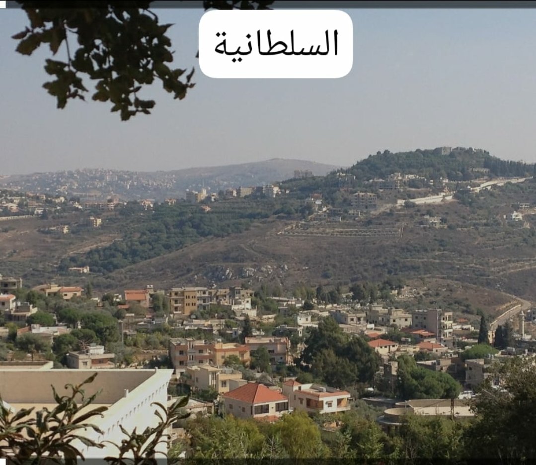 R.T. 🇱🇧 🇮🇹 ®️ tweet media