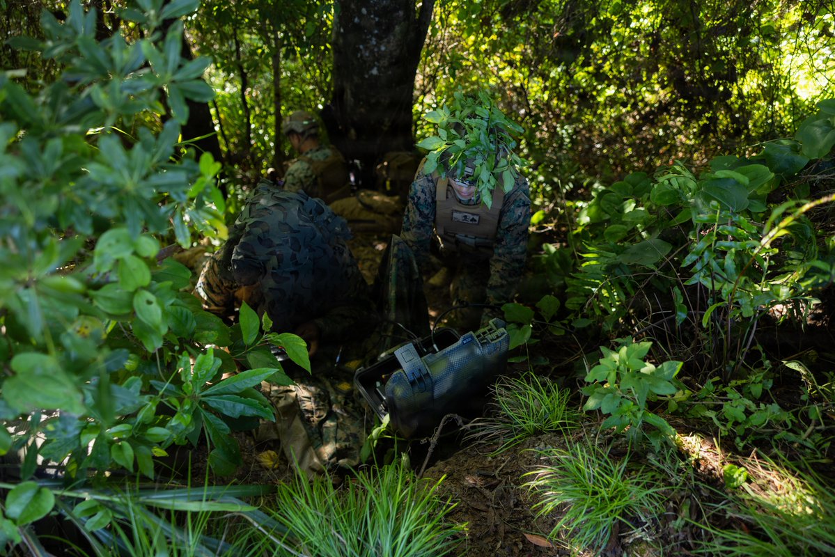 U.S. Marines tweet media