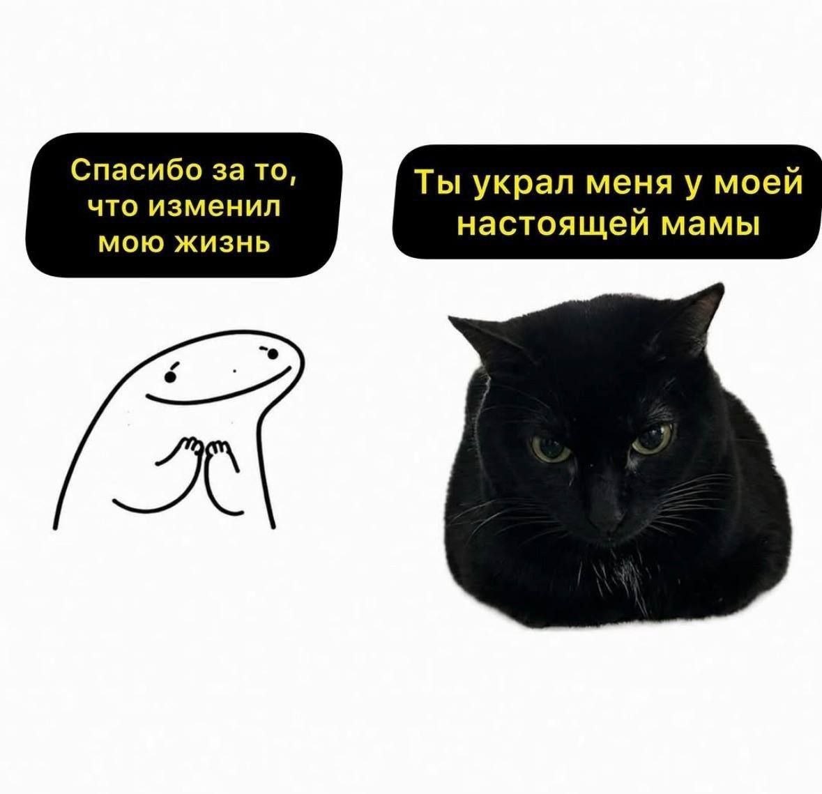 catsilcats's tweet photo. https://t.co/i7300OwxNT