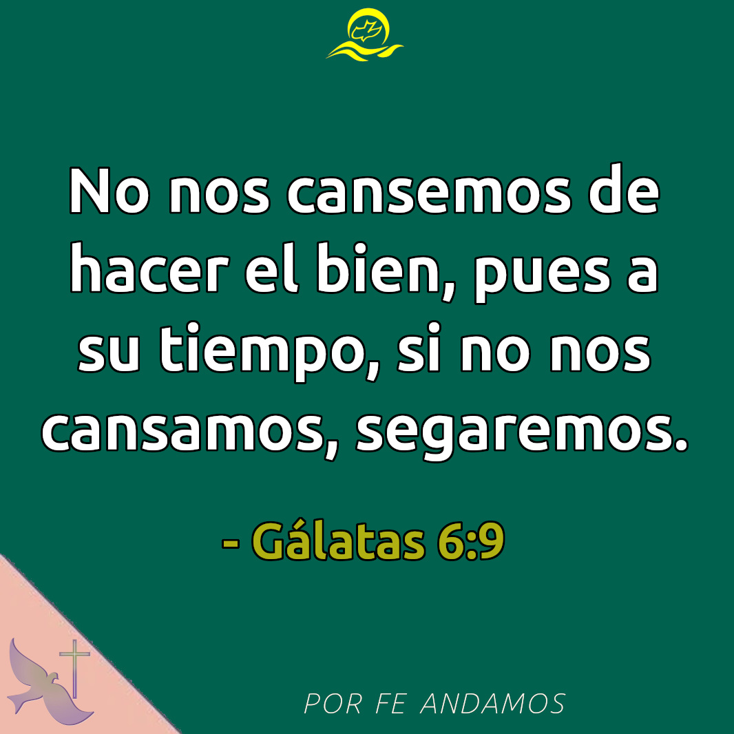 PorFeAndamos's tweet photo. 🙏
LA BIBLIA NOS ASEGURA que Dios camina con nosotros en todas las dificultades. Las Escrituras declaran que “incluso en el valle más oscuro, Dios está cerca y nos guía” (Sal. 23:4).

Podemos vivir con confianza sabiendo que la mano de Dios está cerca. ALELUYA. Gloria a Cristo.
. https://t.co/7EHDu0GVhm