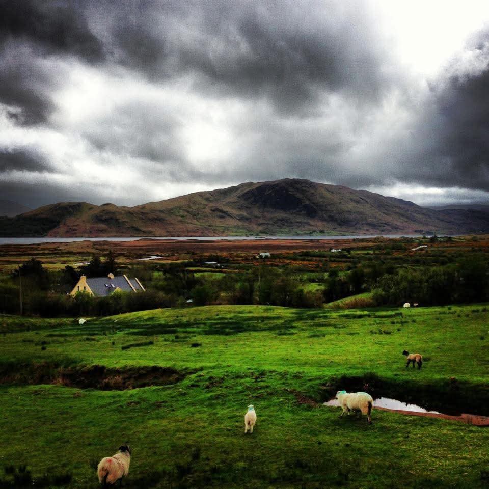 ThisIsIreland3's tweet photo. Moody skies over Tourmakeady ⛰️
The wild beauty of the west of Ireland never disappoints 💚
📍County Mayo-Ireland 🇮🇪
📸 Ronan Courell
#Tourmakeady #Ireland #Mayo #Landscapes #Moodysky https://t.co/MHVSLdNXNL