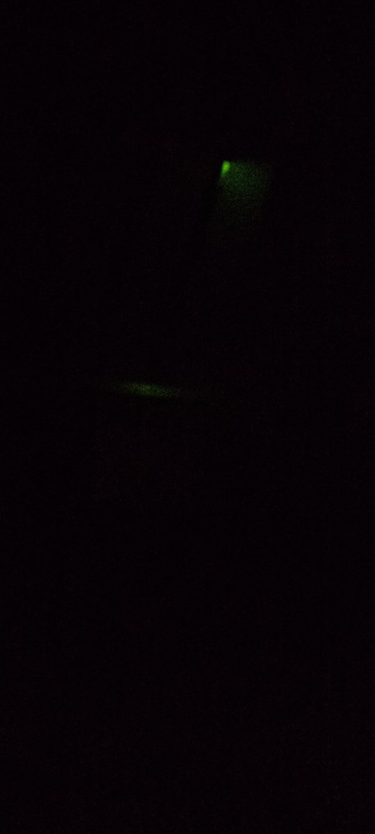 PNW GhostStar tweet media