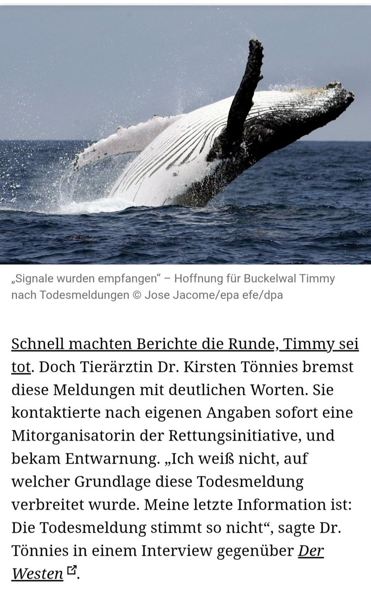 Sigrun Gwiasda tweet media