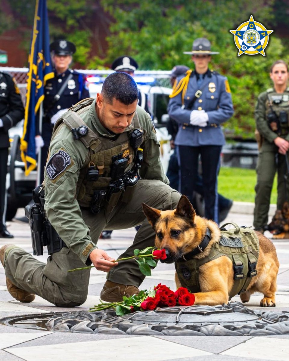 National Fraternal Order of Police (FOP) tweet media