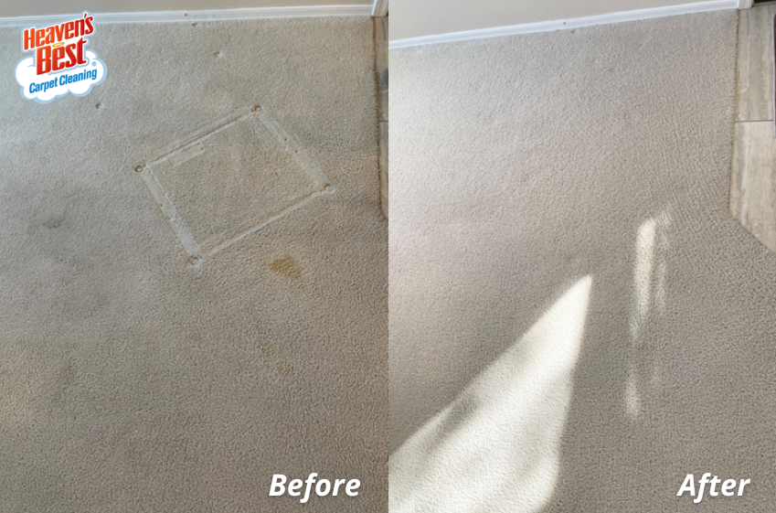 HeavBestSpokane's tweet photo. Tired of seeing the same old spots on your carpet? 🤔 Heaven's Best is here to help you with all your carpet cleaning needs - get in touch with us today and we'll get rid of those stains for good!

(509) 999-2659
https://t.co/tZEcuaRh9K https://t.co/sukATHfKEX