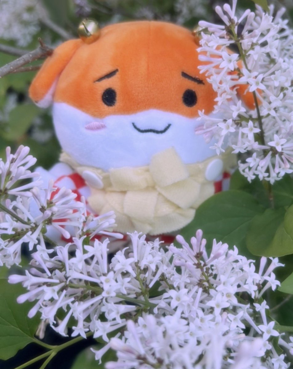 ⋆˚࿔ miko ✿ ˚⋆@ ACEN tweet media