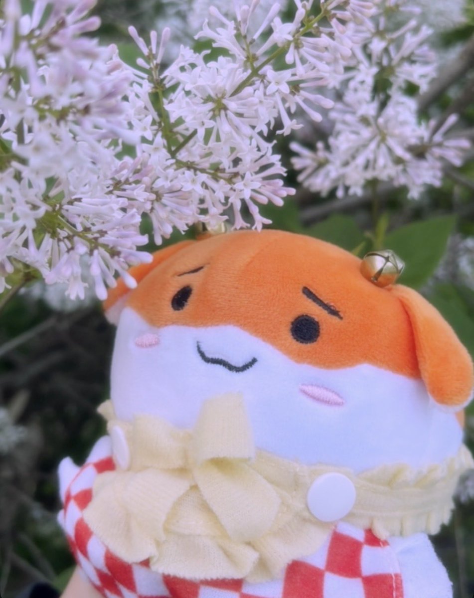 ⋆˚࿔ miko ✿ ˚⋆@ ACEN tweet media